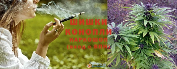 PSILOCYBIN Алексеевка