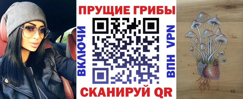 Галлюциногенные грибы MAGIC MUSHROOMS  где продают наркотики  Дегтярск 